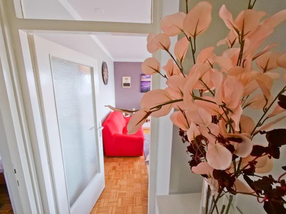 P&C Zadar Apartment Exterior photo